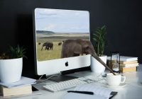 Calculatoare Refurbished