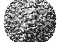 depistare hepatita C