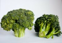dieta Dukan
