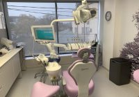 endodontie in sector 6