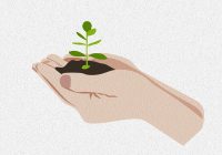 Tratarea semințelor înainte de semănat